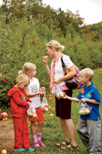 The orchard has welcomed as many as 16,000 visitors in one weekend day.