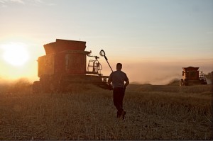  More power, less fuel, cleaner grain, greater comfort: The reviews are in on the MF9500 combines.