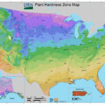 USDA Plant Hardiness Zones 