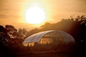 The Neales’ NRCS-funded 1,200-square-foot greenhouse.