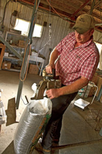 Rodney bags sunflower seed off his farm and sells it for bird feed.
