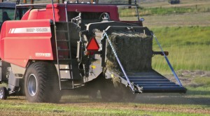 Their new Hesston by Massey Ferguson 2170 XD baler, which is being pulled by an MF6495 tractor, is making and saving them money.